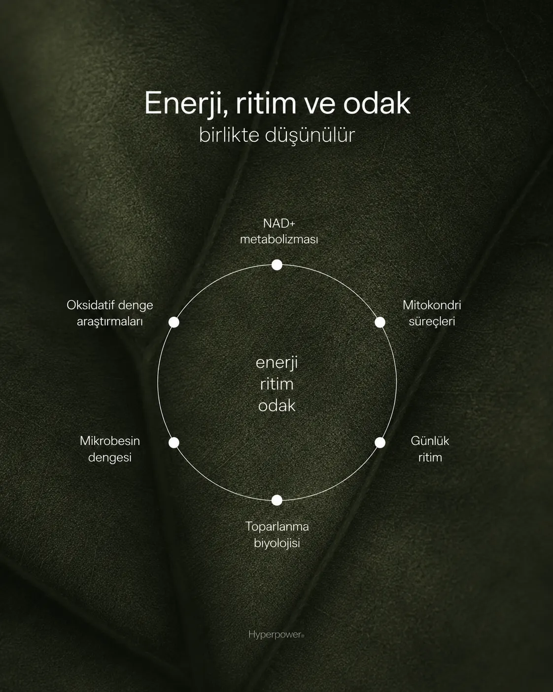 HyperPower Longevity sosyal medya çalışması